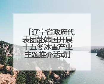 辽宁省政府代表团赴韩国开展十五冬冰雪产业主题推介活动