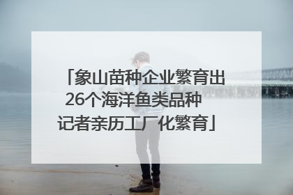 象山苗种企业繁育出26个海洋鱼类品种 记者亲历工厂化繁育