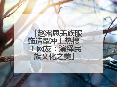 赵露思羌族服饰造型冲上热搜！网友：演绎民族文化之美