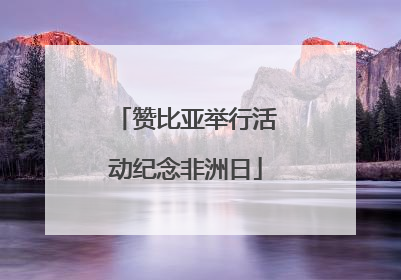 赞比亚举行活动纪念非洲日