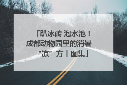 趴冰砖 泡水池！成都动物园里的消暑“凉”方丨图集
