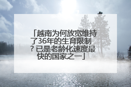 越南为何放宽维持了36年的生育限制？已是老龄化速度最快的国家之一