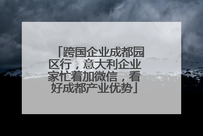 跨国企业成都园区行，意大利企业家忙着加微信，看好成都产业优势