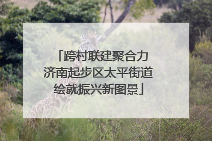 跨村联建聚合力 济南起步区太平街道绘就振兴新图景
