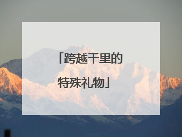 跨越千里的特殊礼物