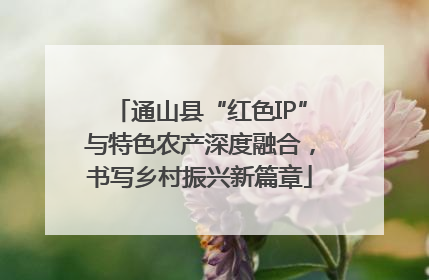 通山县“红色IP”与特色农产深度融合，书写乡村振兴新篇章