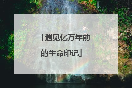遇见亿万年前的生命印记