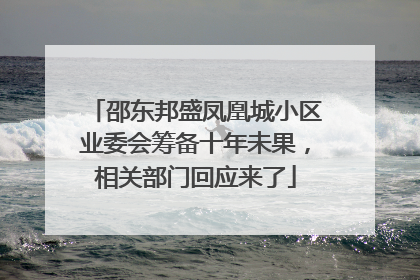 邵东邦盛凤凰城小区业委会筹备十年未果，相关部门回应来了