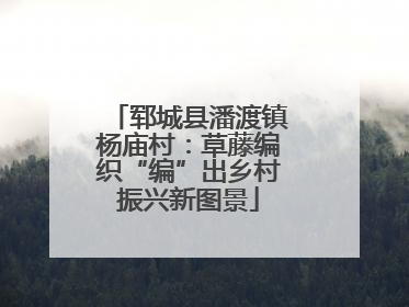 郓城县潘渡镇杨庙村：草藤编织“编”出乡村振兴新图景