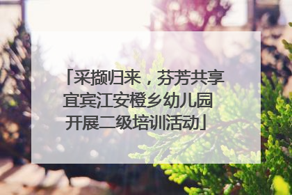 采撷归来，芬芳共享 宜宾江安橙乡幼儿园开展二级培训活动