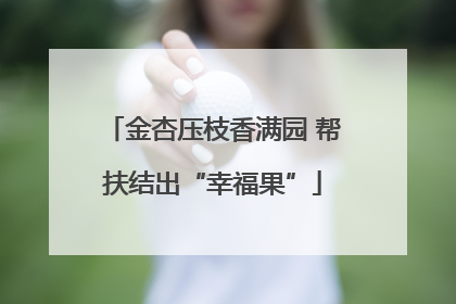 金杏压枝香满园 帮扶结出“幸福果”