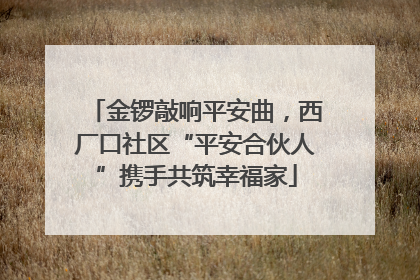 金锣敲响平安曲，西厂口社区“平安合伙人”携手共筑幸福家