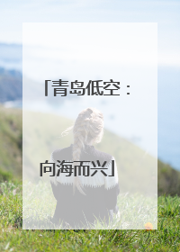青岛低空：向海而兴
