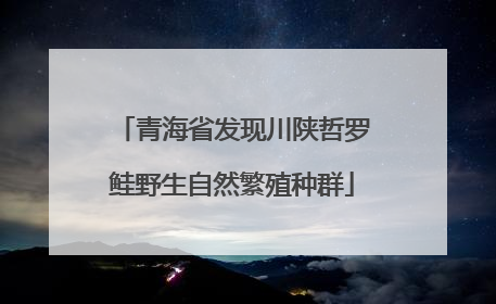 青海省发现川陕哲罗鲑野生自然繁殖种群
