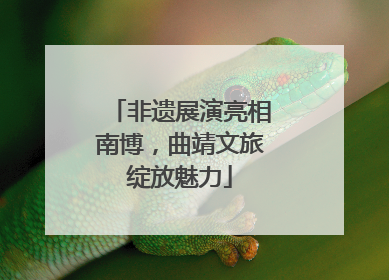非遗展演亮相南博，曲靖文旅绽放魅力
