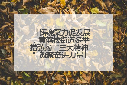 铸魂聚力促发展，黄鹤楼街道多举措弘扬“三大精神”凝聚奋进力量