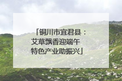 铜川市宜君县：艾草飘香迎端午 特色产业助振兴