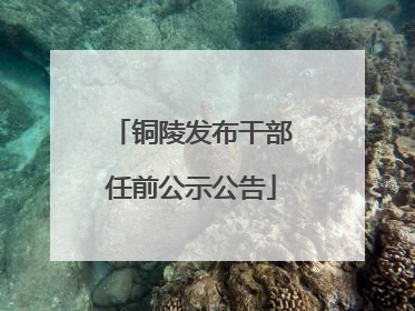 铜陵发布干部任前公示公告