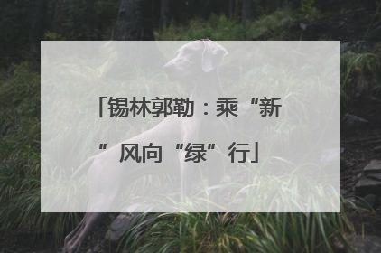 锡林郭勒：乘“新”风向“绿”行