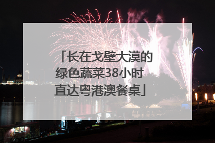 长在戈壁大漠的绿色蔬菜38小时直达粤港澳餐桌