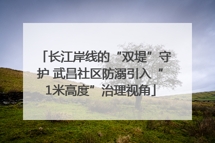 长江岸线的“双堤”守护 武昌社区防溺引入“1米高度”治理视角