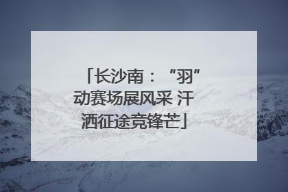 长沙南：“羽”动赛场展风采 汗洒征途竞锋芒