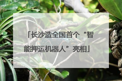 长沙造全国首个“智能押运机器人”亮相