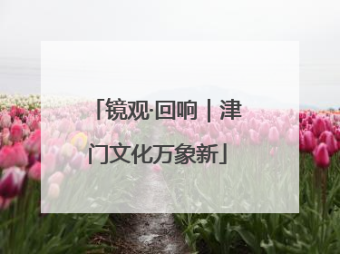 镜观·回响｜津门文化万象新