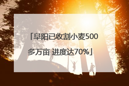 阜阳已收割小麦500多万亩 进度达70%