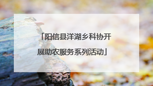 阳信县洋湖乡科协开展助农服务系列活动