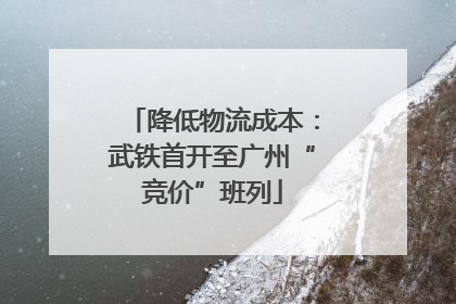 降低物流成本：武铁首开至广州“竞价”班列