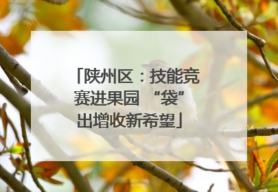 陕州区：技能竞赛进果园 “袋”出增收新希望