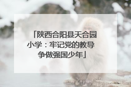 陕西合阳县天合园小学：牢记党的教导 争做强国少年