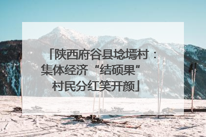 陕西府谷县埝墕村：集体经济“结硕果” 村民分红笑开颜