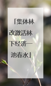 集体林改激活林下经济一池春水