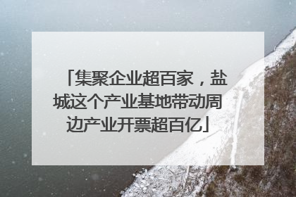 集聚企业超百家，盐城这个产业基地带动周边产业开票超百亿