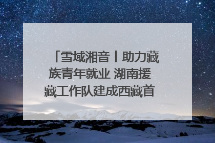 雪域湘音丨助力藏族青年就业 湖南援藏工作队建成西藏首个清洁能源装备园