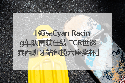 领克Cyan Racing车队再获佳绩 TCR世巡赛西班牙站包揽六座奖杯