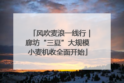 风吹麦浪一线行｜廊坊“三夏”大规模小麦机收全面开始