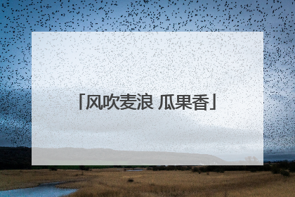 风吹麦浪 瓜果香