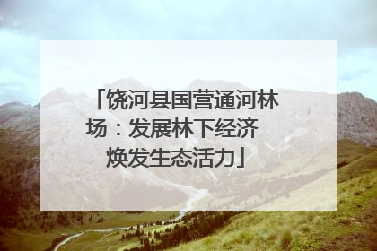 饶河县国营通河林场：发展林下经济 焕发生态活力