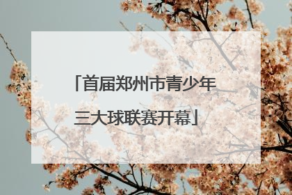 首届郑州市青少年三大球联赛开幕