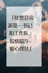 驻曹县省派第一书记和工作队：粽情端午·暖心帮扶