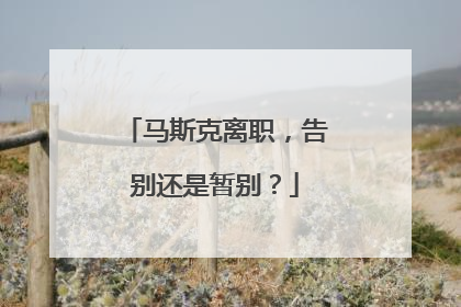 马斯克离职，告别还是暂别？