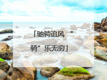 驰骋追风 “骑”乐无穷