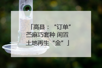 高县：“订单”苎麻巧套种 闲置土地再生“金”