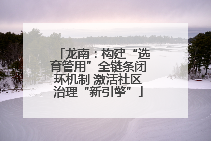 龙南：构建“选育管用”全链条闭环机制 激活社区治理“新引擎”