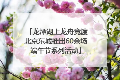 龙潭湖上龙舟竞渡 北京东城推出60余场端午节系列活动
