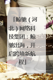 鲸驰（河北）网络科技集团：鲸驰出海，开启跨境新航程