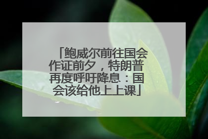 鲍威尔前往国会作证前夕，特朗普再度呼吁降息：国会该给他上上课